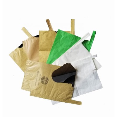 fruit paper growing protective cover mango bags