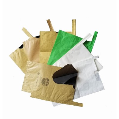 fruit mango growing protect paper bag